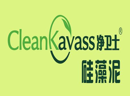 净卫士硅藻泥