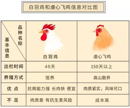 土窑鸡研究所