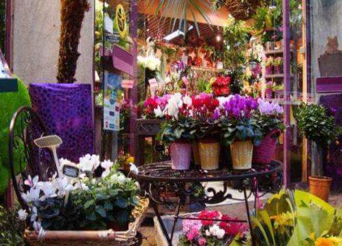 俪缘花店加盟优势 俪缘花店加盟优势